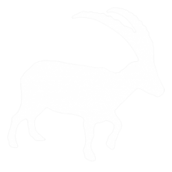 Spandauer Bock